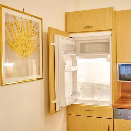 Appartement Haider Saalbach-Hinterglemm