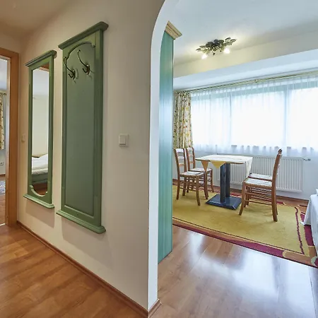 Haider Apartment Saalbach-Hinterglemm